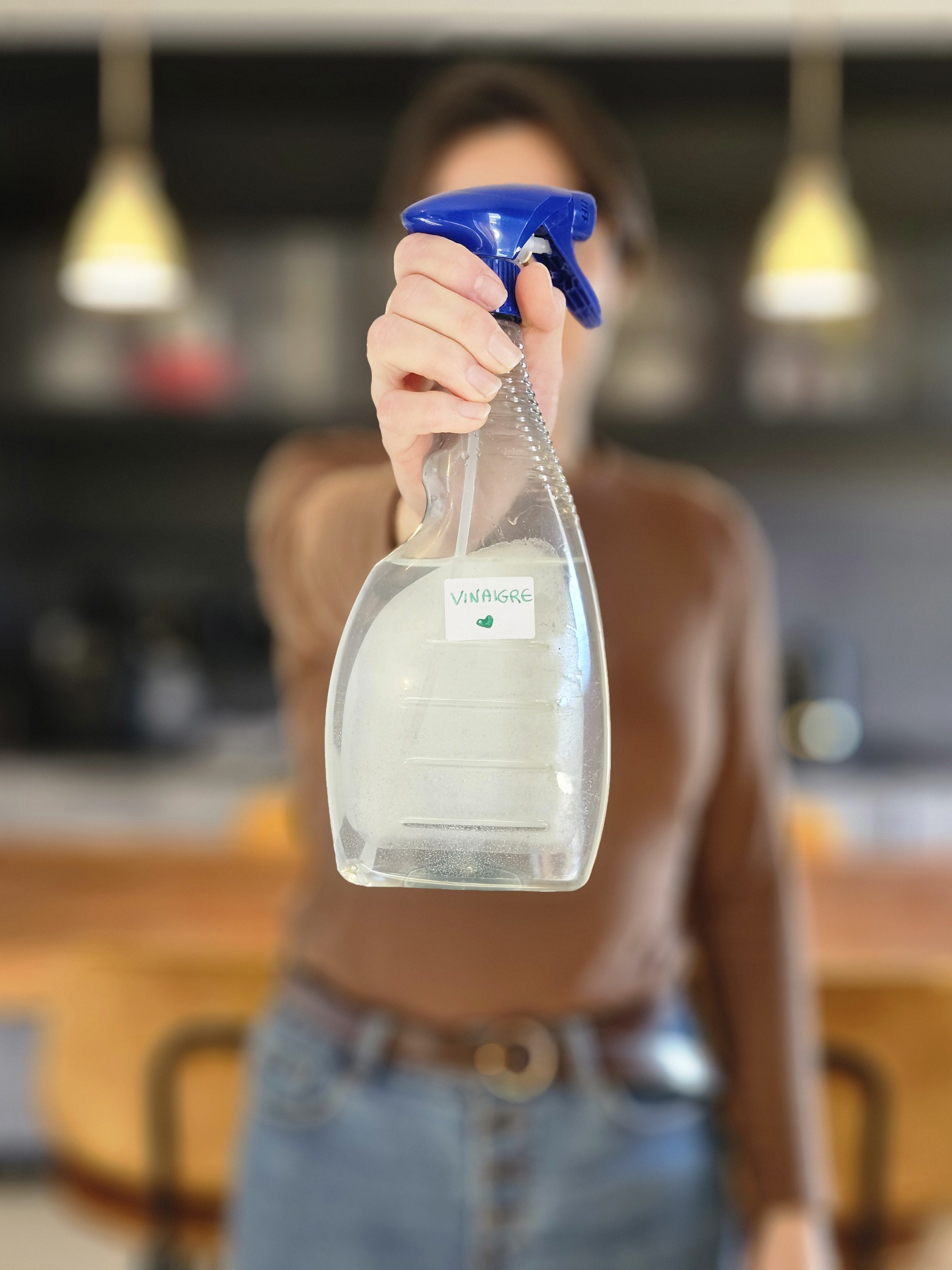 Vinaigre d&rsquo;alcool: l&rsquo;allié naturel des Ecohôtes